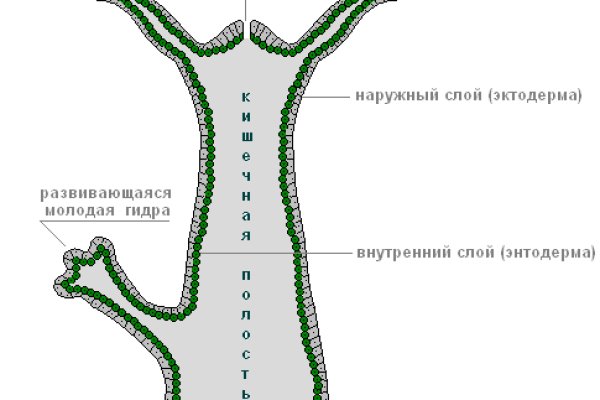 Актуальный сайт кракена