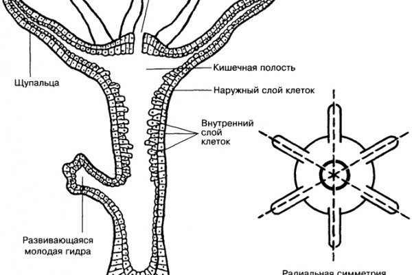 Ссылка на кракен kr2link co