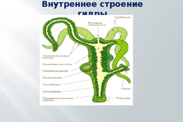 Кракен аккаунт не найден